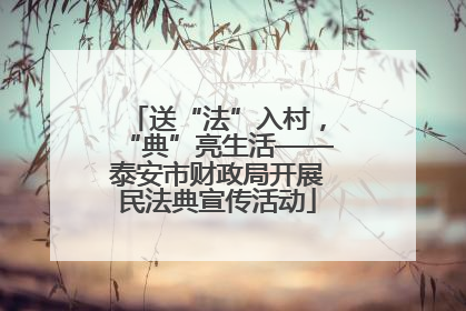 送“法”入村，“典”亮生活——泰安市财政局开展民法典宣传活动