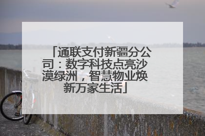 通联支付新疆分公司：数字科技点亮沙漠绿洲，智慧物业焕新万家生活