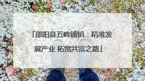 邵阳县五峰铺镇：精准发展产业 拓宽共富之路
