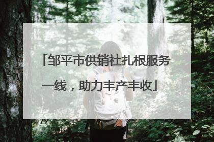 邹平市供销社扎根服务一线，助力丰产丰收
