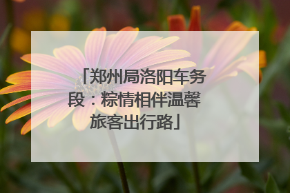 郑州局洛阳车务段：粽情相伴温馨旅客出行路