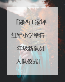 郧西王家坪红军小学举行一年级新队员入队仪式