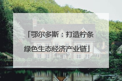 鄂尔多斯：打造柠条绿色生态经济产业链