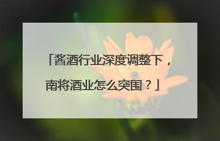 酱酒行业深度调整下，南将酒业怎么突围？