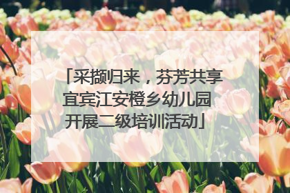 采撷归来，芬芳共享 宜宾江安橙乡幼儿园开展二级培训活动