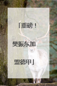 重磅！樊振东加盟德甲
