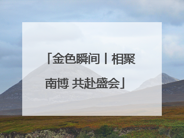 金色瞬间丨相聚南博 共赴盛会