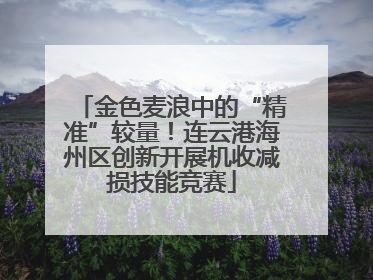金色麦浪中的“精准”较量！连云港海州区创新开展机收减损技能竞赛