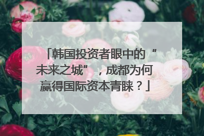 韩国投资者眼中的“未来之城”，成都为何赢得国际资本青睐？