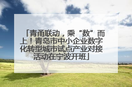 青甬联动，乘“数”而上！青岛市中小企业数字化转型城市试点产业对接活动在宁波开班