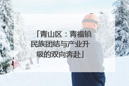 青山区：青福镇民族团结与产业升级的双向奔赴