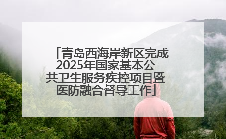 青岛西海岸新区完成2025年国家基本公共卫生服务疾控项目暨医防融合督导工作