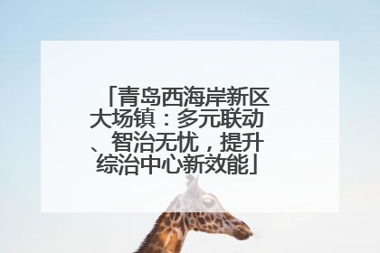 青岛西海岸新区大场镇：多元联动、智治无忧，提升综治中心新效能