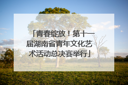 青春绽放！第十一届湖南省青年文化艺术活动总决赛举行
