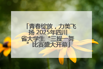 青春绽放，力美飞扬 2025年四川省大学生“三操一舞”比赛盛大开幕