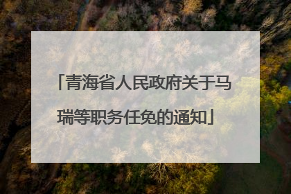 青海省人民政府关于马瑞等职务任免的通知