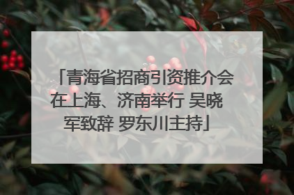 青海省招商引资推介会在上海、济南举行 吴晓军致辞 罗东川主持