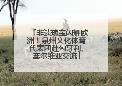 非遗瑰宝闪耀欧洲！泉州文化体育代表团赴匈牙利、塞尔维亚交流