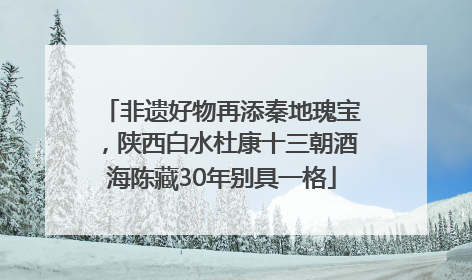 非遗好物再添秦地瑰宝，陕西白水杜康十三朝酒海陈藏30年别具一格