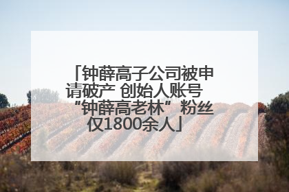 钟薛高子公司被申请破产 创始人账号“钟薛高老林”粉丝仅1800余人