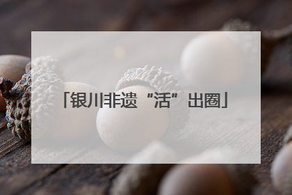银川非遗“活”出圈