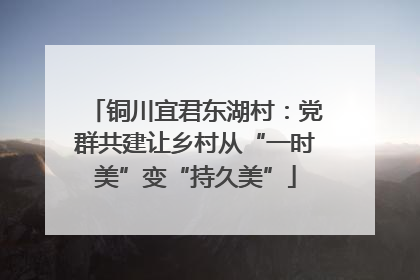 铜川宜君东湖村：党群共建让乡村从“一时美”变“持久美”