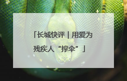 长城快评｜用爱为残疾人“撑伞”