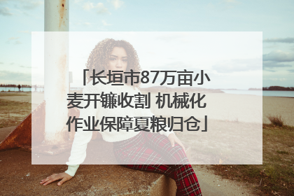 长垣市87万亩小麦开镰收割 机械化作业保障夏粮归仓