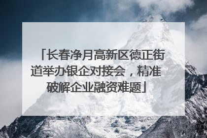长春净月高新区德正街道举办银企对接会，精准破解企业融资难题