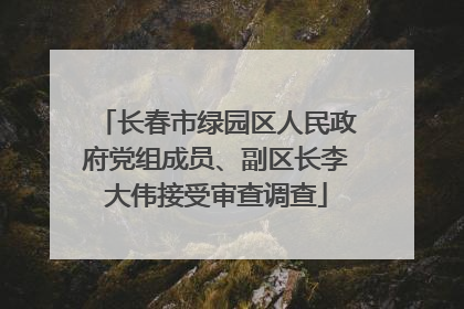 长春市绿园区人民政府党组成员、副区长李大伟接受审查调查