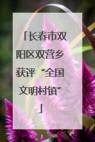 长春市双阳区双营乡获评“全国文明村镇”
