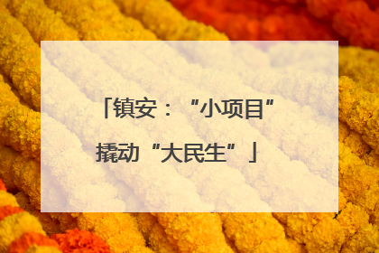 镇安：“小项目”撬动“大民生”