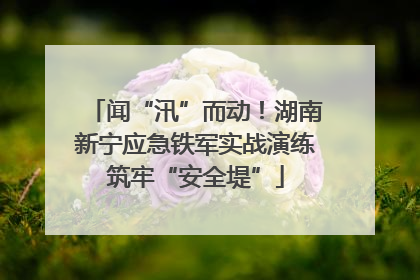 闻“汛”而动！湖南新宁应急铁军实战演练筑牢“安全堤”