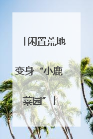 闲置荒地变身“小鹿菜园”