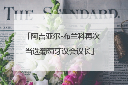 阿吉亚尔-布兰科再次当选葡萄牙议会议长