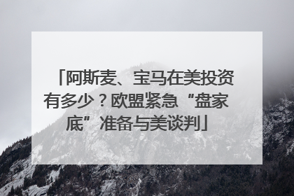 阿斯麦、宝马在美投资有多少？欧盟紧急“盘家底”准备与美谈判