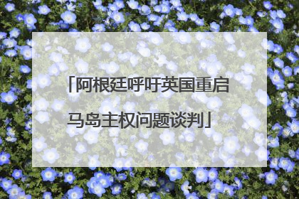 阿根廷呼吁英国重启马岛主权问题谈判