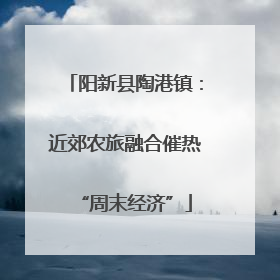 阳新县陶港镇：近郊农旅融合催热“周末经济”