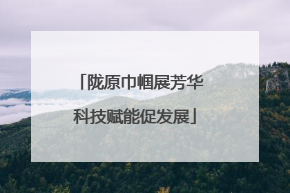 陇原巾帼展芳华 科技赋能促发展