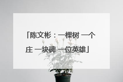 陈文彬：一棵树 一个庄 一块碑 一位英雄