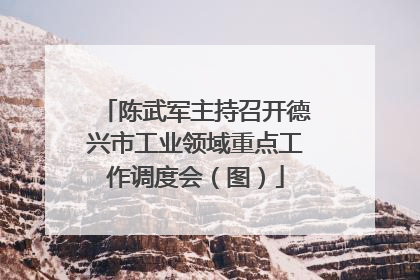 陈武军主持召开德兴市工业领域重点工作调度会（图）