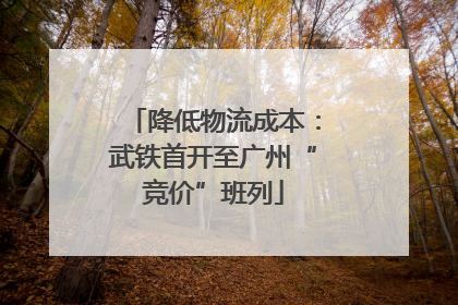 降低物流成本：武铁首开至广州“竞价”班列