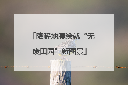 降解地膜绘就“无废田园”新图景
