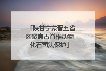 陕甘宁蒙晋五省区聚焦古脊椎动物化石司法保护