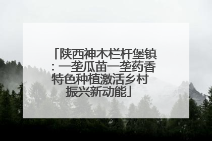 陕西神木栏杆堡镇：一垄瓜苗一垄药香 特色种植激活乡村振兴新动能