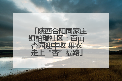 陕西合阳同家庄镇柏瑞社区：百亩杏园迎丰收 果农走上“杏”福路