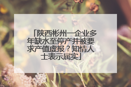 陕西彬州一企业多年缺水至停产并被要求产值虚报？知情人士表示属实