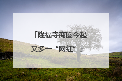 隆福寺商圈今起又多一“网红”