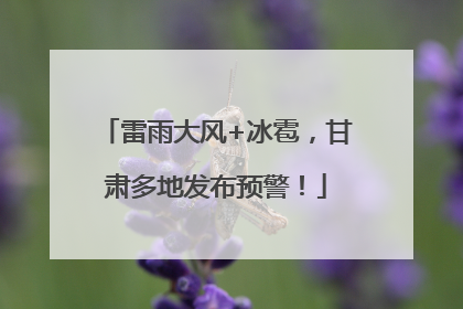 雷雨大风+冰雹，甘肃多地发布预警！