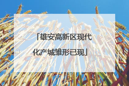 雄安高新区现代化产城雏形已现